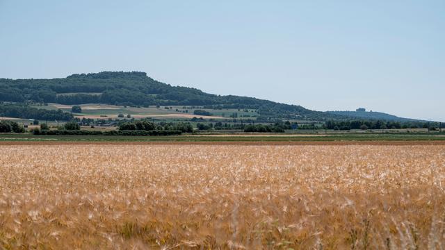 Wetter und Klima: LfU: August in Bayern deutlich zu trocken