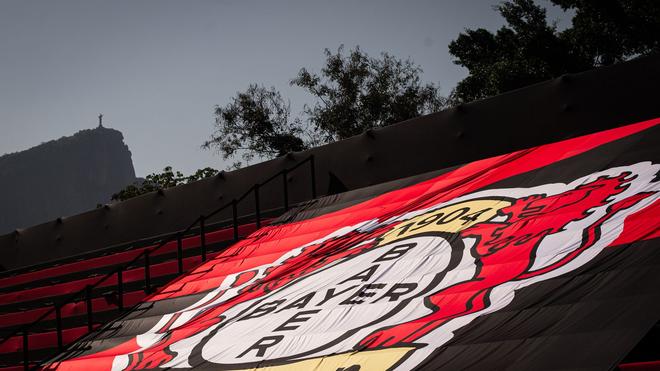 Fußball-Bundesliga: Bericht: Leverkusen vor Transfer von Argentinier ...