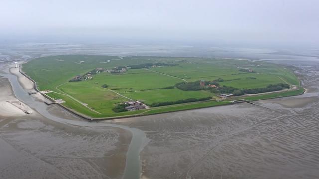 Neues von der Insel Neuwerk: Hamburg will 40 Millionen in seine Nordseeinsel investieren