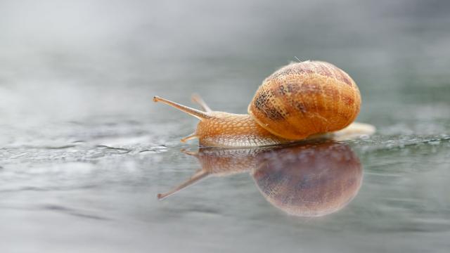 Wettervorhersage: Hin und Her beim Wetter - aber Regen wird seltener