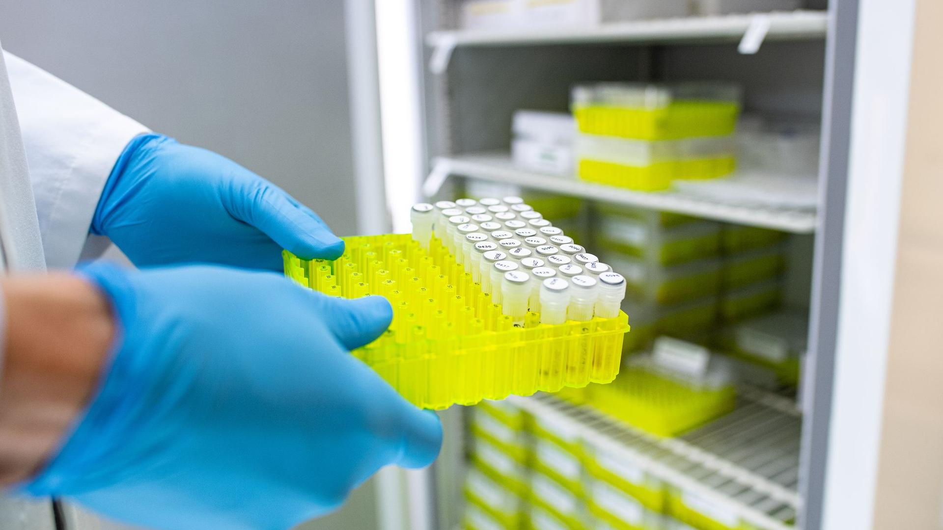 Gefährliche Krankheit: Nach Ehec-Verdacht Rettungseinsatz in Kita bei Rostock