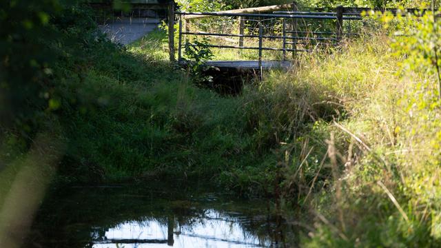 Ermittlungen laufen: Leiche aus Koffer identifiziert - Vermisste aus Stuttgart
