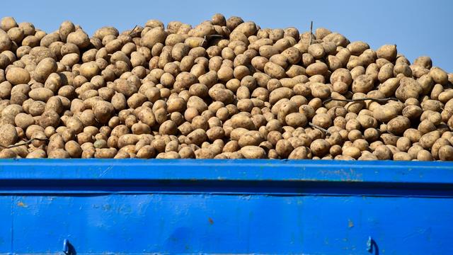 Ladung verloren: Tonnenweise Kartoffeln auf Straße verteilt