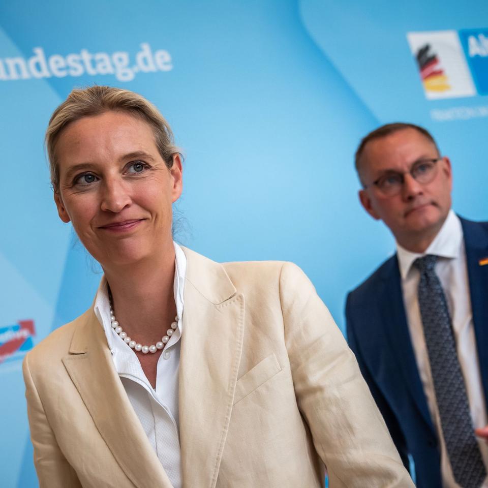 Aufstieg der AfD: Umfragehoch für AfD - Wer regiert Ende 2026 in Magdeburg?  | DIE ZEIT