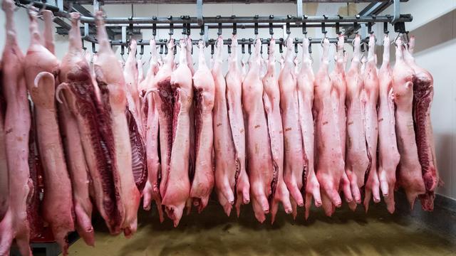 Handelsstreit: China verhängt Zölle auf Schweinefleisch aus der EU