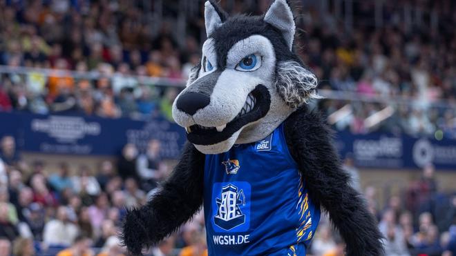 Rostocker Bundesligist: Das Rostocker Maskottchen «Wolfi».