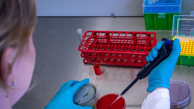 Ehec-Ausbruch: Fortschritt bei Suche nach Ursache für Ehec-Ausbruch in MV