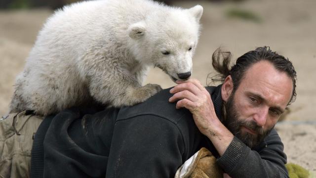 Tiergeschichte: Museumsdirektor: Hype um Eisbär Knut kaum mehr spürbar