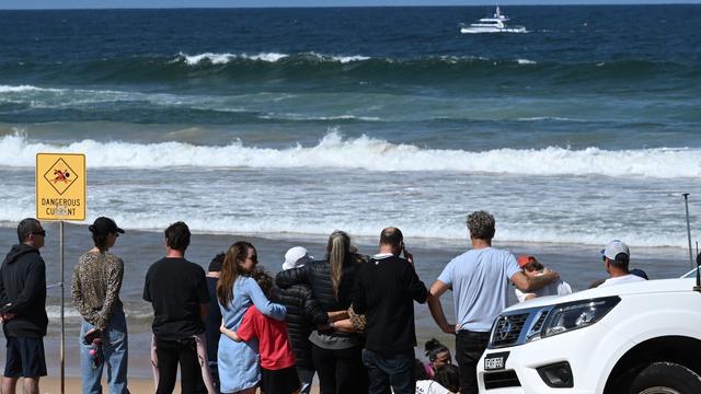 Surfboard in Stücke gerissen: Surfer stirbt nach mutmaßlicher Hai-Attacke in Sydney