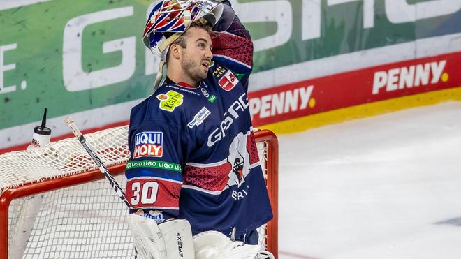 Champions Hockey League: Eisb&auml;ren Berlin unterliegen Grenoble nach  Penaltyschie&szlig;en | DIE ZEIT