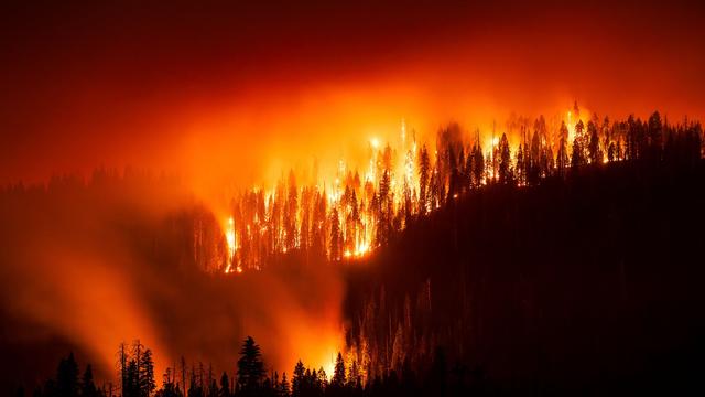 Feuer in den USA: Waldbrand bedroht Riesenmammutbäume in Kalifornien