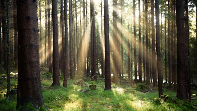 Taxonomie: EU-Gericht erlaubt Klimasiegel für Atomkraft und Erdgas