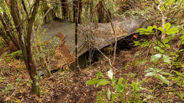 Vier Jahre in der Wildnis: Neuseeland: Polizei sucht nach Helfern des Kindesentführers