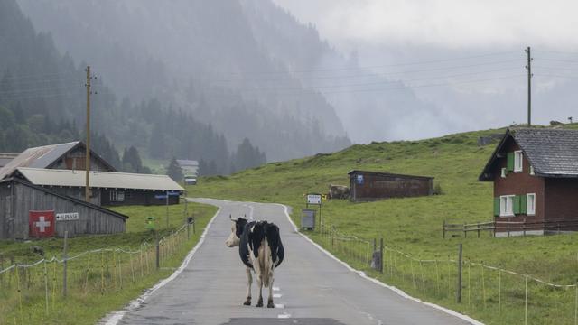 Auswandern: Wohin es deutsche Auswanderer zieht