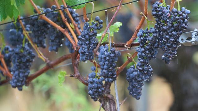 Wetter: Regen, Sonne und Gewitter – unbeständiges Wetter erwartet