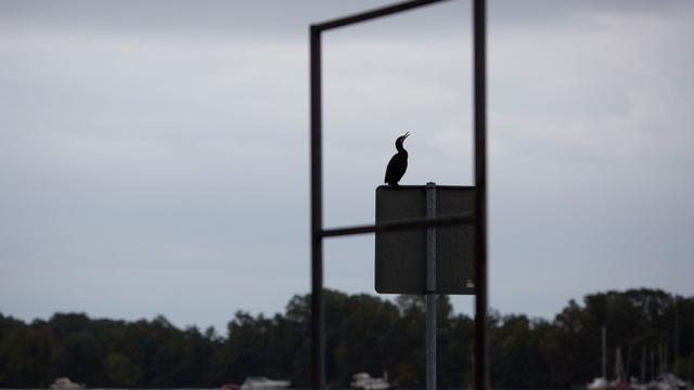 Wetterausblick: Neue Woche beginnt windig und mit 24 Grad