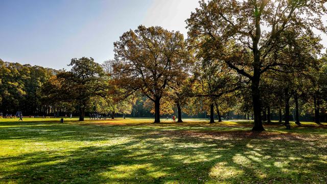 Wetter: Goldener Spätsommer im Norden – viel Sonne, aber auch Wind