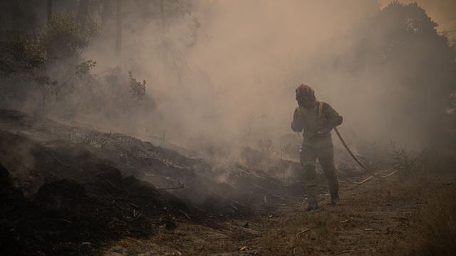 Waldbrände: Zwei 81-Jährige in Portugal wegen Brandstiftung festgenommen