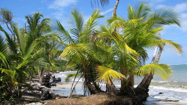 Kriminalität: Getötetes Paar in Costa Rica: Frau war Österreicherin
