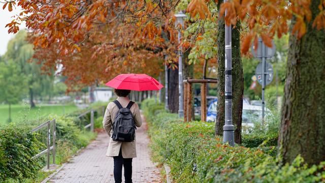 Wetter: Weiter Regen im Südwesten - Wochenende bringt etwas Sonne