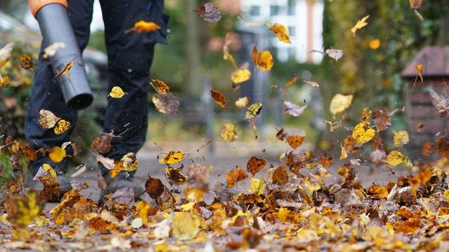 Umwelt und Lärm: Abstimmung: Zürich erlaubt Laubbläser nur noch im Herbst