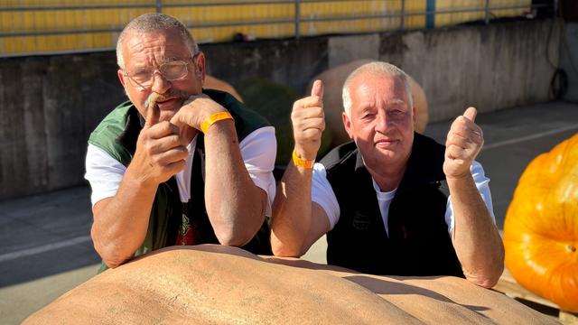 Kürbis-Wiegemeisterschaft: Kürbisse auf der Waage: 1.000-Kilo-Marke geknackt