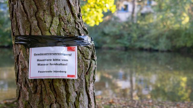 Umwelt: Rätselhaftes Fischsterben im Nürnberger Langwassersee