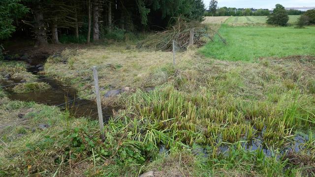Westerwald: Belohnung für Fund von Leiche des Dreifachmörders bezahlt