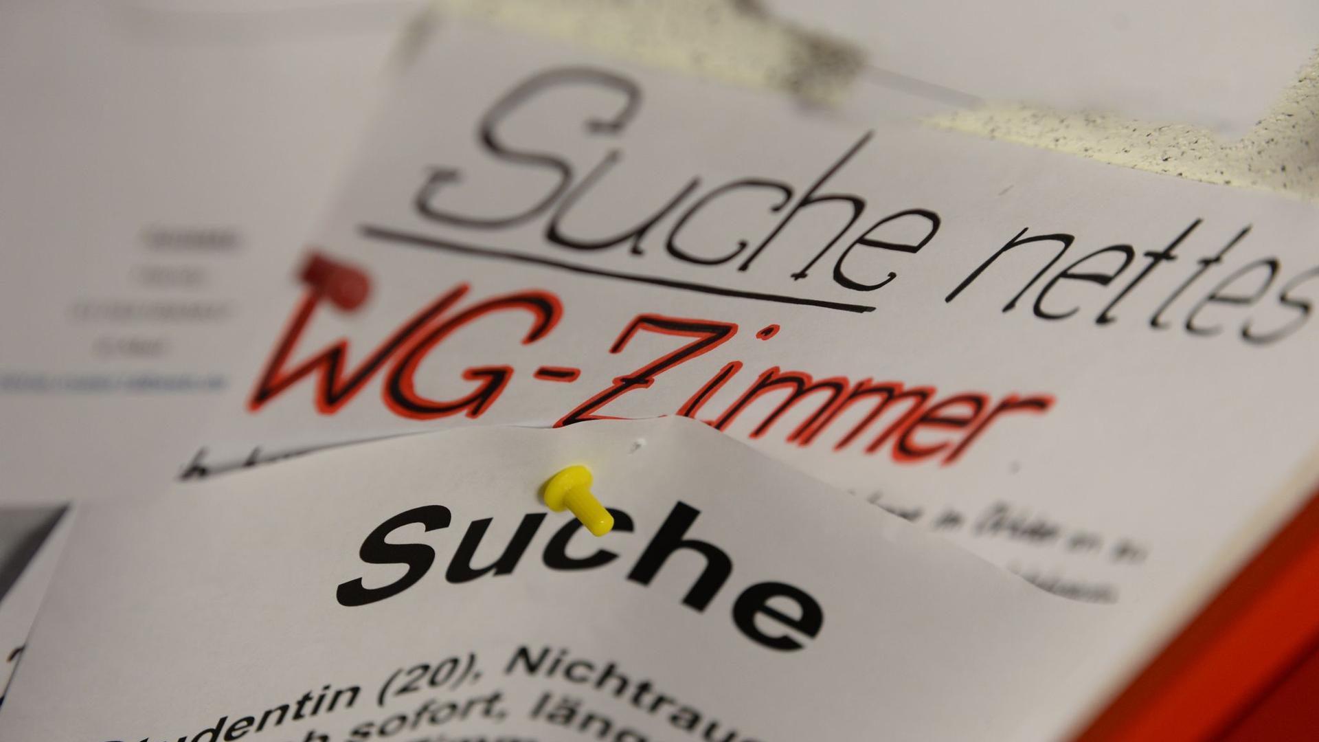Entgegen Bundestrend: Mieten für Studierende in Berlin erstmals leicht gesunken