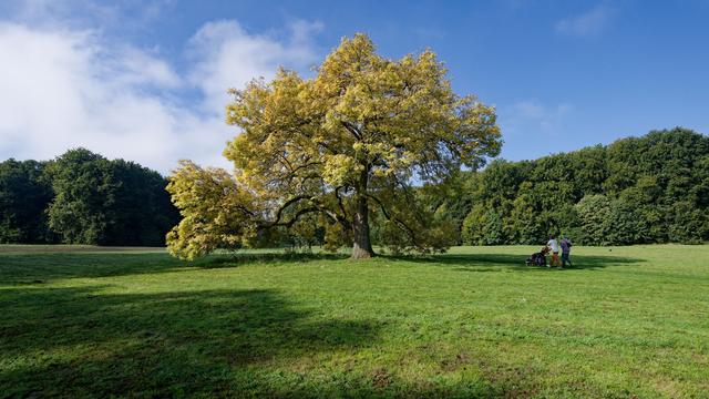 Wetterwechsel: Nach Sonne in NRW gibt es zum Wochenende Regen