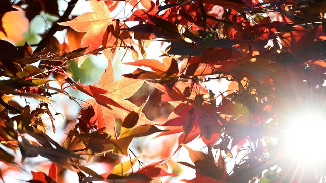 Wetterbericht: Morgens erster Frost im Bergland - tagsüber Sonnenschein