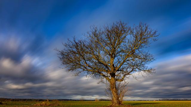 Wetter: Windiges Wochenende in Berlin und Brandenburg