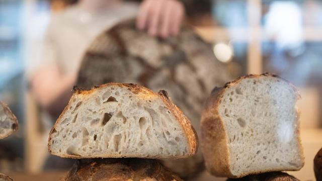 Brot-Trend: Taylor-Swift-Effekt? Sauerteig auf Höhenflug