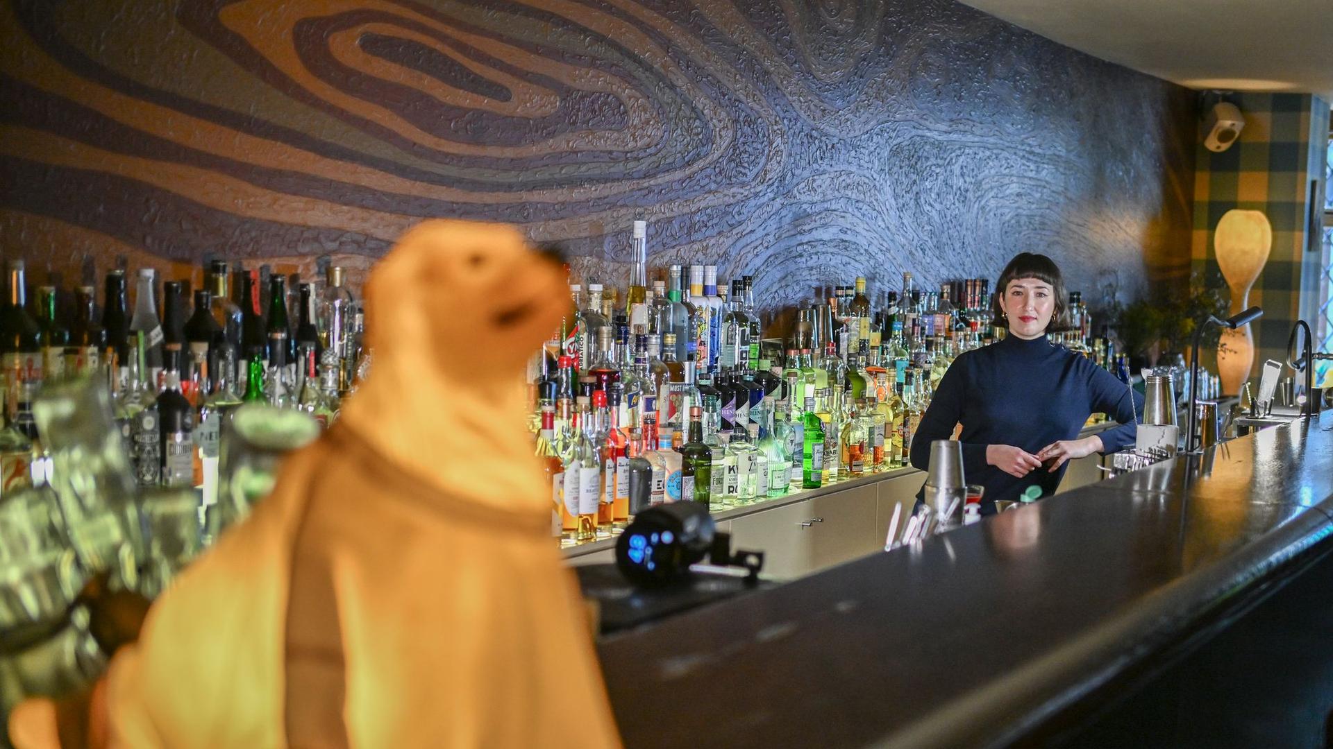 Auszeichnungen: "Bar des Jahres" ist wieder in Berlin zu finden