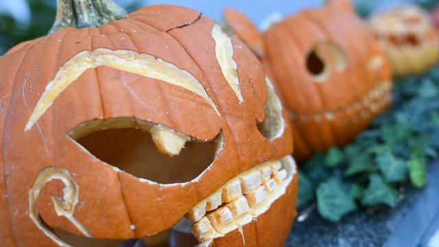 Freizeit: Kürbisse und Grusel: Taunus Wunderland bis November offen