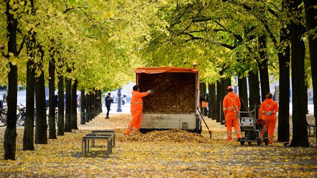 Verkehrssicherheit: BSR sammelt Laub – so schwer wie 6.000 Elefanten