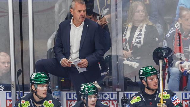 Champions Hockey League: Eisbären Berlin verlieren mit 1:4 gegen Frölunda