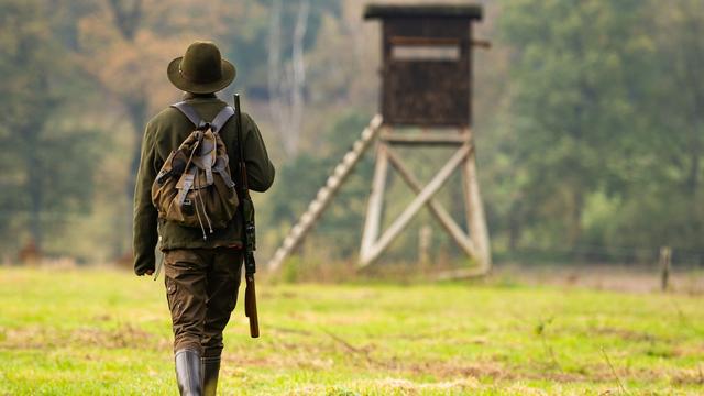 Rot-Grün in Niedersachsen: Jagdreform: Töten von Hunden soll verboten werden
