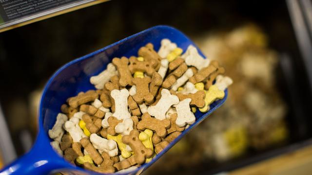 Teure Vierbeiner: Hundesteuer auf Rekordhoch – Futterpreise ziehen weiter an