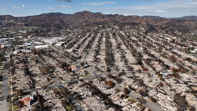 Brände: Nach Brand rund um Los Angeles: Polizei nimmt Mann fest