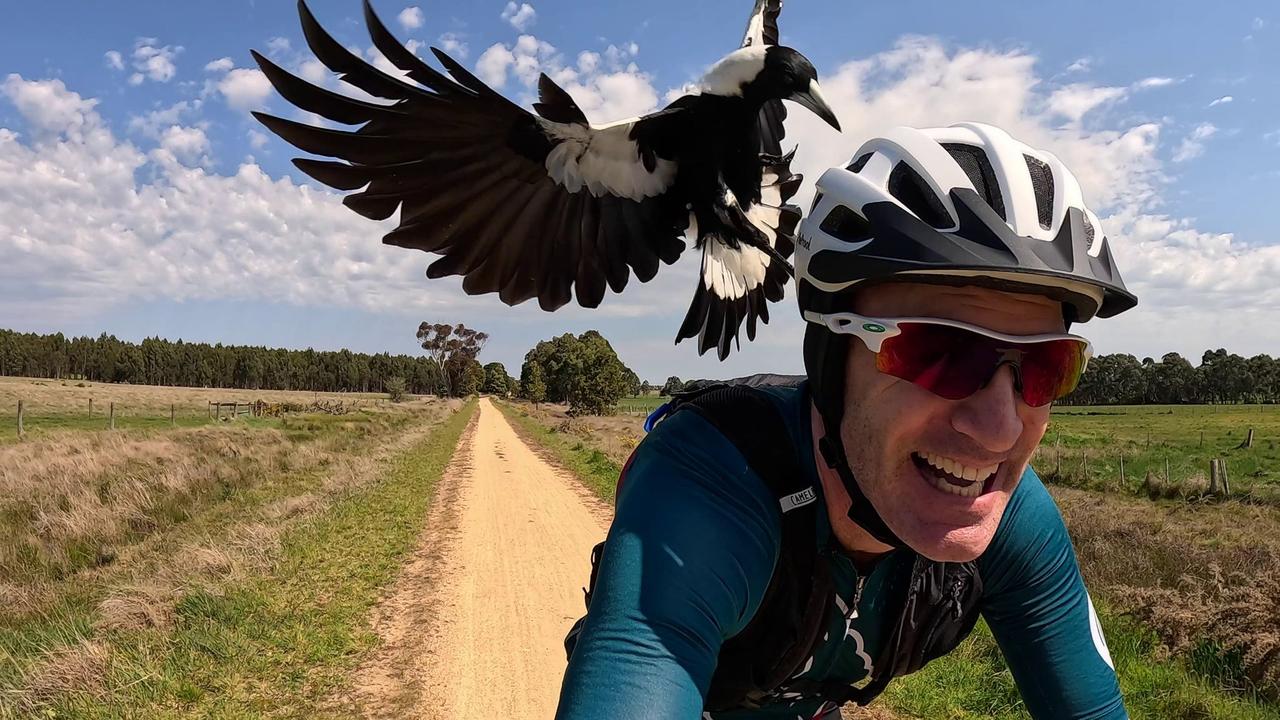 velmia schutzblech Mountainbike I Set für vorne und hinten [passend für 24 bis 29 Zoll] Fahrrad Schutzblech einfache Montag, idealer Schutz vor Schmutz und Dreck, Schutzblech 24 Zoll, Schutzblech Sport & Freizeit Farbe:iz - viola sfumato / ck16 pattern / logo cromato iridescente lucido Eckla Board-Trailer, SUP Fahrradanhänger Velmia replacement lamp holders Kerzenkiste