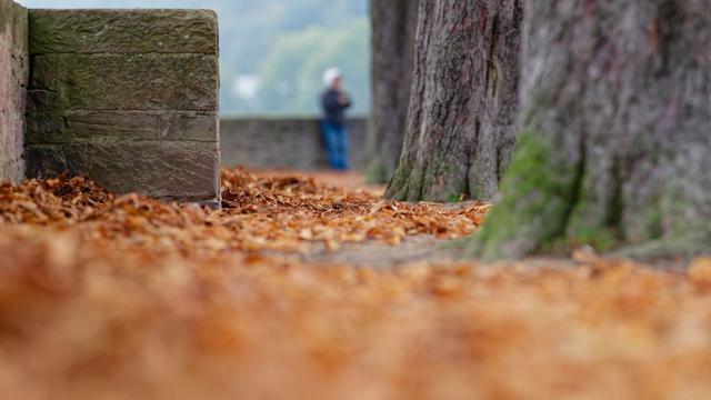 Wetterbericht: Herbst im Südwesten: Nebel am Morgen, Sonne am Nachmittag