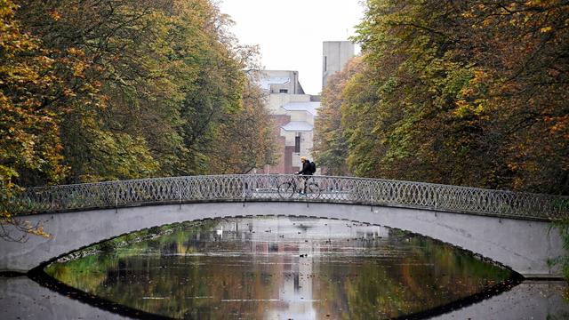 Wettervorhersage: In NRW bleibt es zum Wochenanfang grau und mild