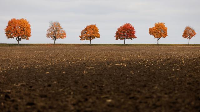 Herbstwetter: Wetter zu Wochenbeginn meist grau - vereinzelt Sonne möglich