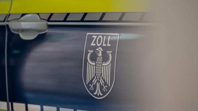 Flughafen München: Zoll findet sieben lebende Schildkröten in Eiscremeboxen