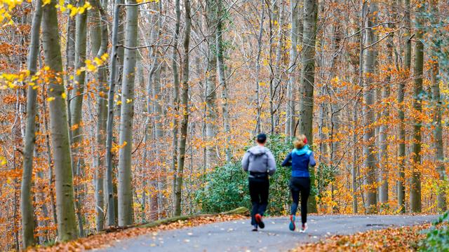 Wetter wird besser: Herbst in NRW: Das Wochenende wird freundlicher