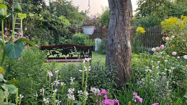 Landeswettbewerb: Kleingärtner in Prenzlauer Berg gewinnen Landeswettbewerb