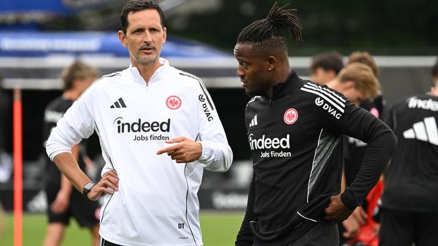 Fußball: Frankfurt-Profi bangt um seine Katze - Aufruf zur Blutspende