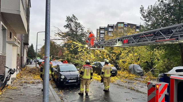 Sturmtief "Joshua": Umgestürzte Bäume und Behinderungen im Bahnverkehr in NRW