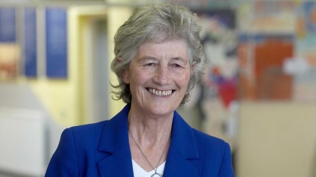 Präsidentschaftswahl: Connolly auf Siegeskurs bei Präsidentschaftswahl in Irland